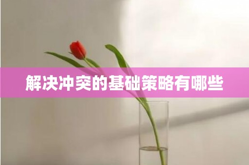 解决冲突的基础策略有哪些