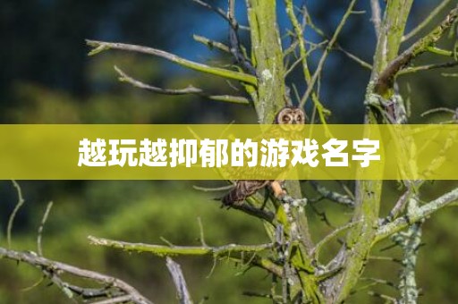 越玩越抑郁的游戏名字