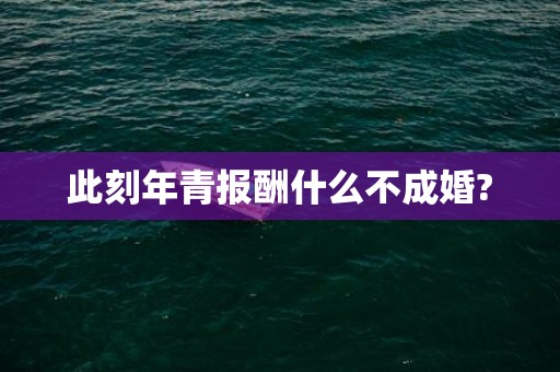 此刻年青报酬什么不成婚?