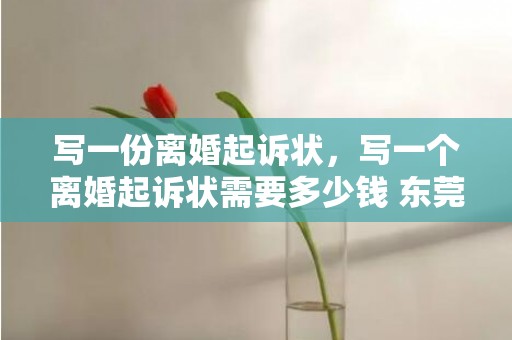 写一份离婚起诉状，写一个离婚起诉状需要多少钱 东莞写离婚起诉书多少钱