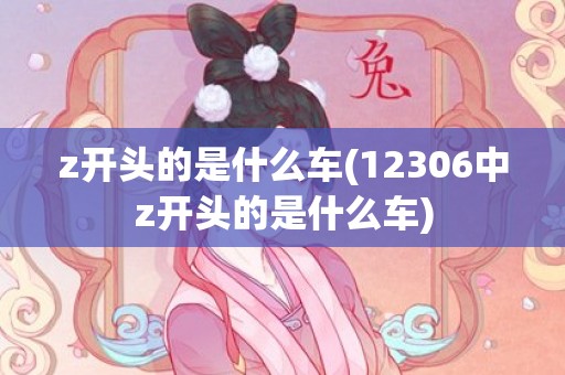 z开头的是什么车(12306中z开头的是什么车)