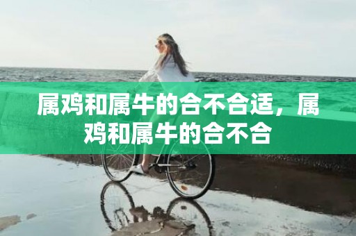属鸡和属牛的合不合适，属鸡和属牛的合不合