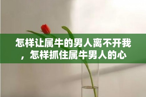 怎样让属牛的男人离不开我，怎样抓住属牛男人的心
