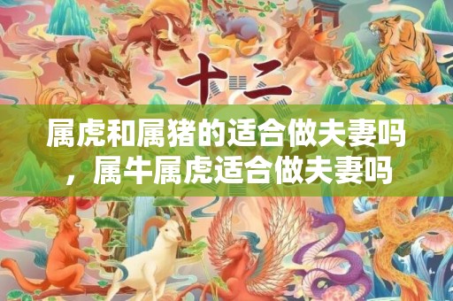 属虎和属猪的适合做夫妻吗，属牛属虎适合做夫妻吗