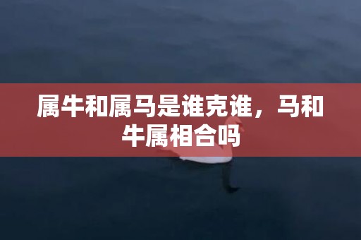 属牛和属马是谁克谁，马和牛属相合吗