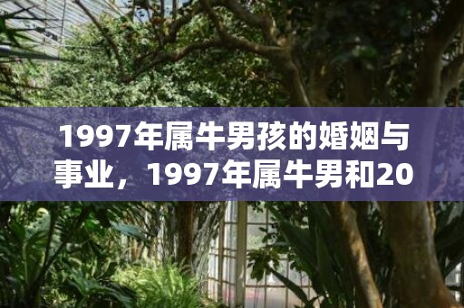 1997年属牛男孩的婚姻与事业，1997年属牛男和2000年属龙女相冲吗