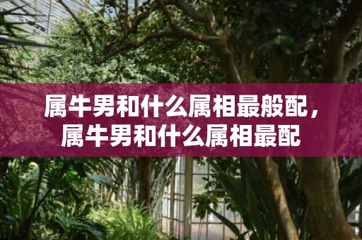属牛男和什么属相最般配，属牛男和什么属相最配