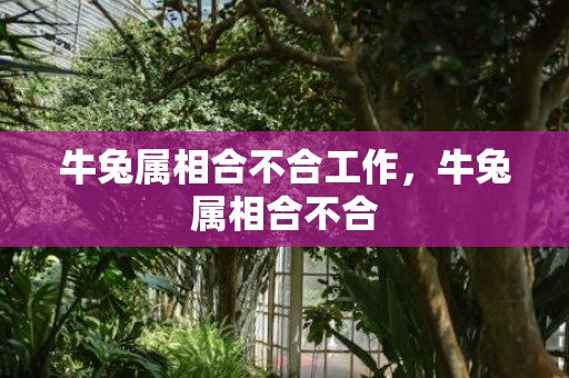 牛兔属相合不合工作，牛兔属相合不合