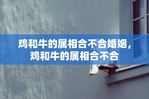 鸡和牛的属相合不合婚姻，鸡和牛的属相合不合