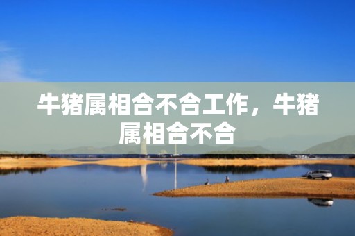 牛猪属相合不合工作，牛猪属相合不合