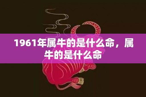 1961年属牛的是什么命，属牛的是什么命