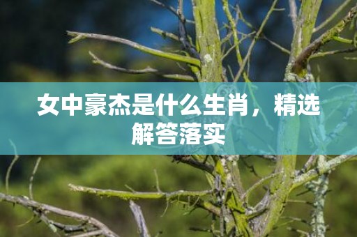 女中豪杰是什么生肖，精选解答落实