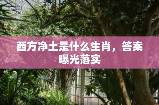 西方净土是什么生肖，答案曝光落实