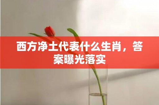 西方净土代表什么生肖，答案曝光落实