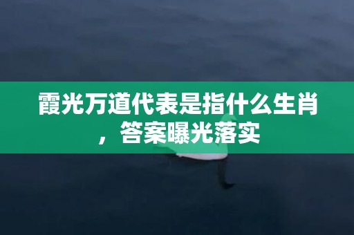 霞光万道代表是指什么生肖，答案曝光落实
