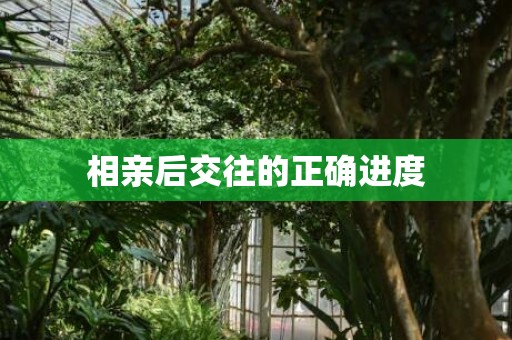 相亲后交往的正确进度