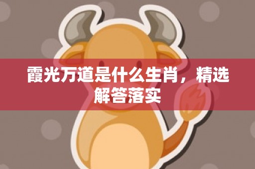 霞光万道是什么生肖，精选解答落实