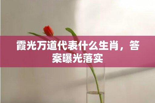 霞光万道代表什么生肖，答案曝光落实