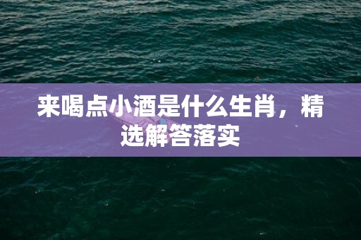 来喝点小酒是什么生肖，精选解答落实