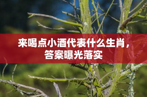 来喝点小酒代表什么生肖，答案曝光落实