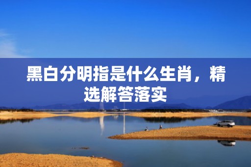 黑白分明指是什么生肖，精选解答落实