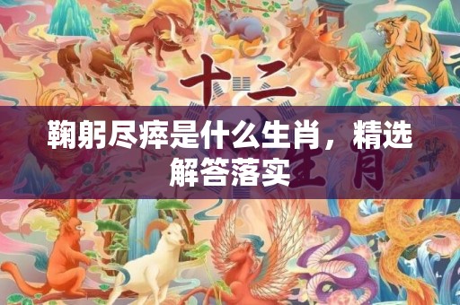 鞠躬尽瘁是什么生肖，精选解答落实