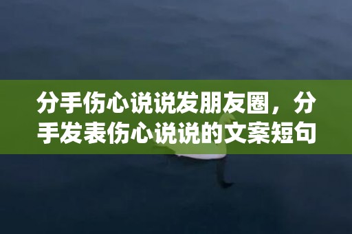 分手伤心说说发朋友圈，分手发表伤心说说的文案短句(心情难过的文案)
