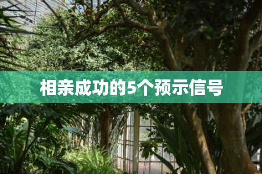 相亲成功的5个预示信号
