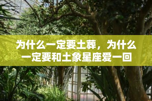 为什么一定要土葬，为什么一定要和土象星座爱一回