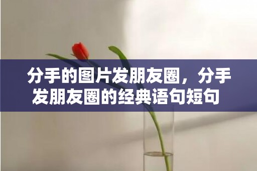 分手的图片发朋友圈，分手发朋友圈的经典语句短句 发朋友圈的短句