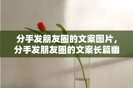 分手发朋友圈的文案图片，分手发朋友圈的文案长篇幽默 日常生活朋友圈文案