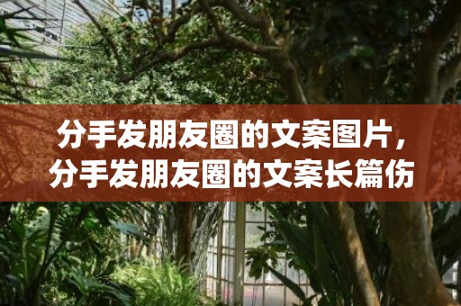 分手发朋友圈的文案图片，分手发朋友圈的文案长篇伤感(日常生活朋友圈文案)
