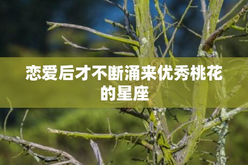 恋爱后才不断涌来优秀桃花的星座