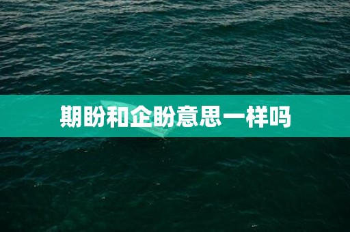 期盼和企盼意思一样吗