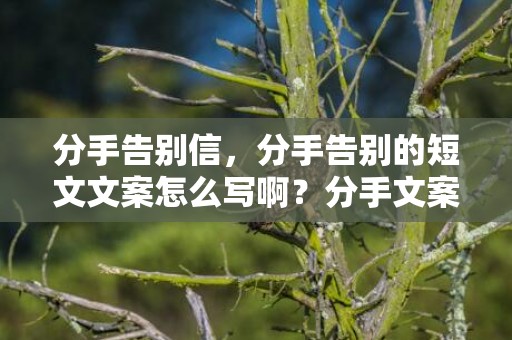 分手告别信，分手告别的短文文案怎么写啊？分手文案