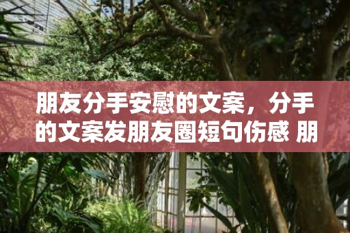 朋友分手安慰的文案，分手的文案发朋友圈短句伤感 朋友圈干净短句