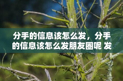 分手的信息该怎么发，分手的信息该怎么发朋友圈呢 发朋友圈暗示失恋了