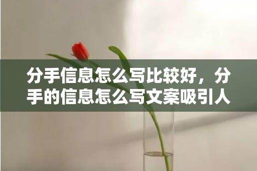 分手信息怎么写比较好，分手的信息怎么写文案吸引人 分手了怎么发文案