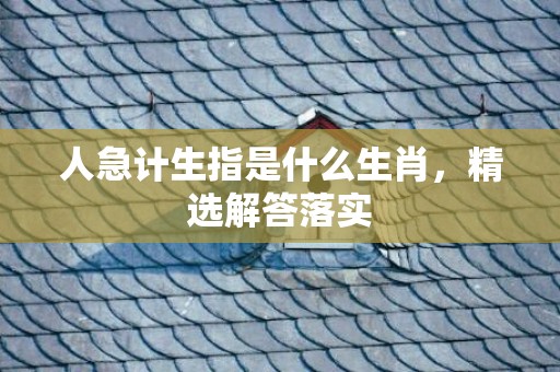 人急计生指是什么生肖，精选解答落实