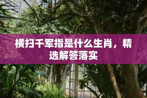 横扫千军指是什么生肖，精选解答落实