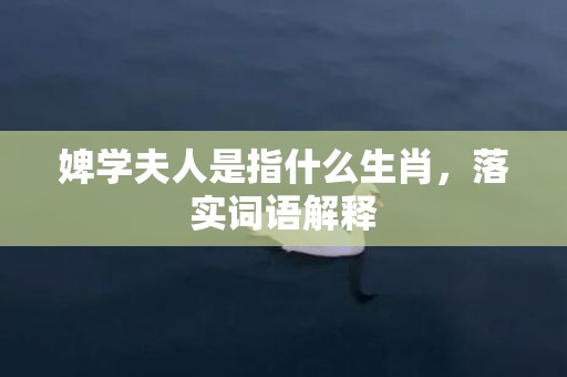婢学夫人是指什么生肖，落实词语解释