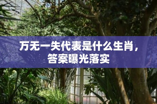 万无一失代表是什么生肖，答案曝光落实