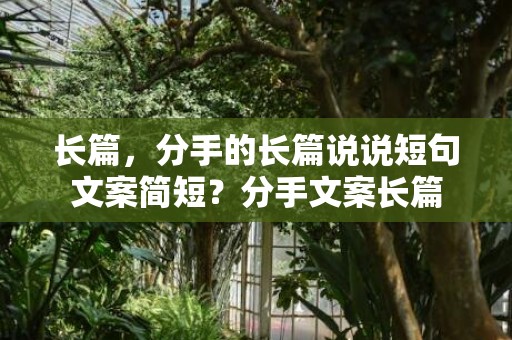 长篇，分手的长篇说说短句文案简短？分手文案长篇
