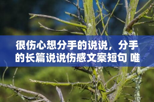 很伤心想分手的说说，分手的长篇说说伤感文案短句 唯美伤感文案句子