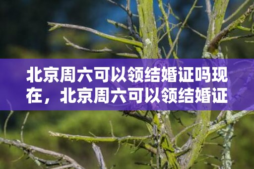 北京周六可以领结婚证吗现在，北京周六可以领结婚证吗现在？北京可以办理结婚证吗
