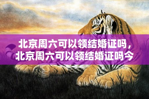 北京周六可以领结婚证吗，北京周六可以领结婚证吗今年 北京周末民政局上班吗