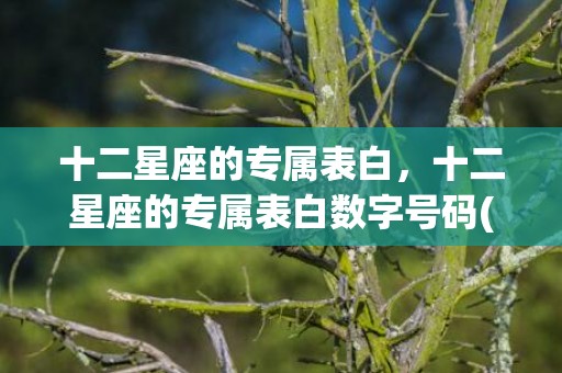 十二星座的专属表白，十二星座的专属表白数字号码(十二星座的弱点)