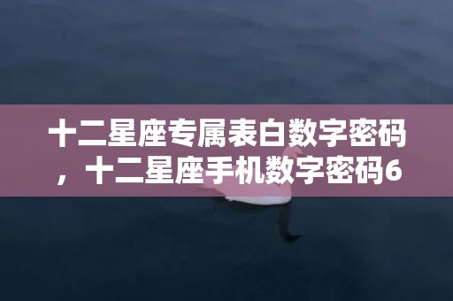 十二星座专属表白数字密码，十二星座手机数字密码6位数 摩羯座女专属密码6位