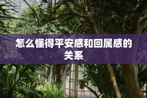 怎么懂得平安感和回属感的关系