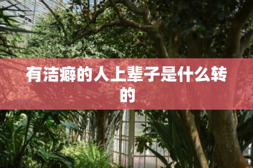 有洁癖的人上辈子是什么转的